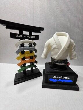 Martial Arts Gi and Belt Display Set - White Gi with Multi-Color Belts